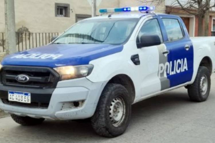 Policial: Detención y hurto