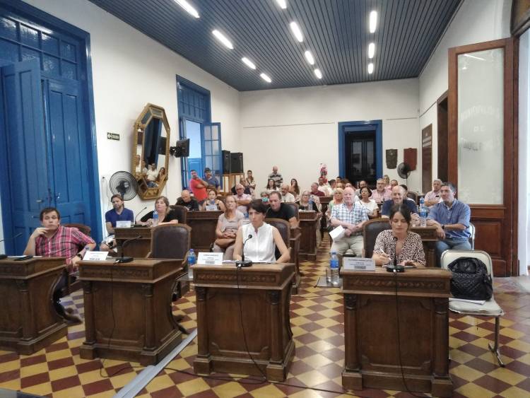 Se aprobó por mayoría la suba de tasas en el distrito de Pringles