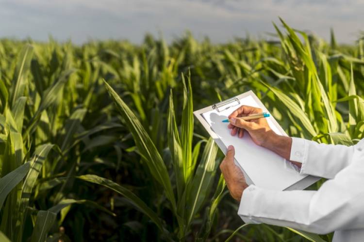Estudiá en Pringles Formación Profesional en Producción Agropecuaria con Orientación en Producción Agrosostenible