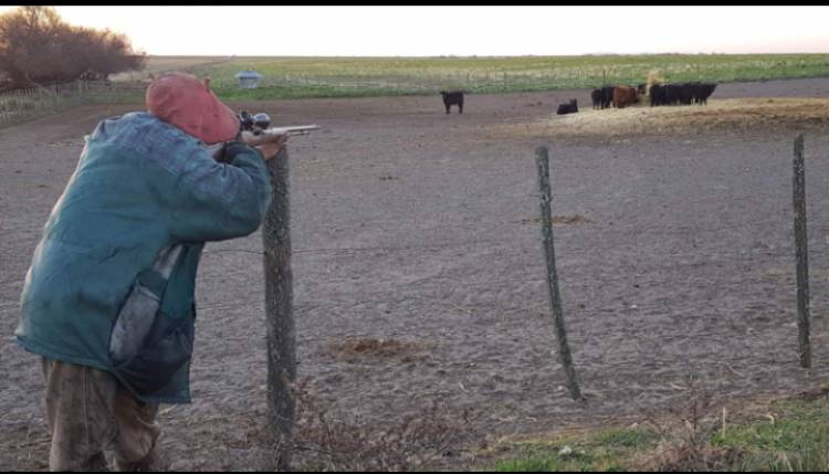 Los delitos rurales y la necesidad de atacar un problema muy preocupante