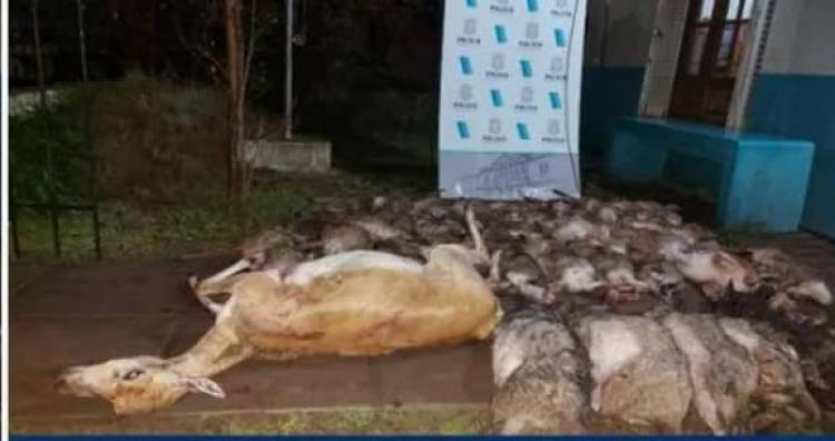 CPR: Aprehenden a tres personas y le secuestran el vehículo, un arma y un ciervo en su poder