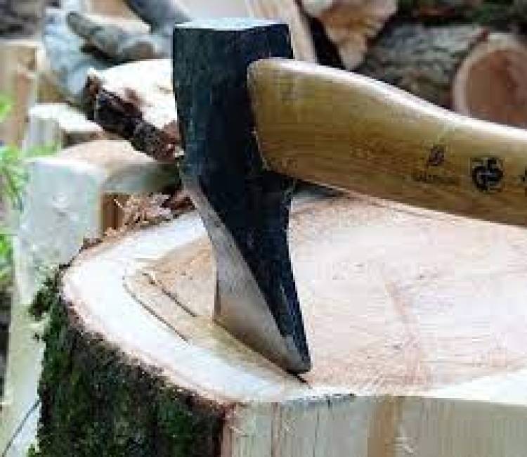 Banco de Leña: Finalizó la entrega anual