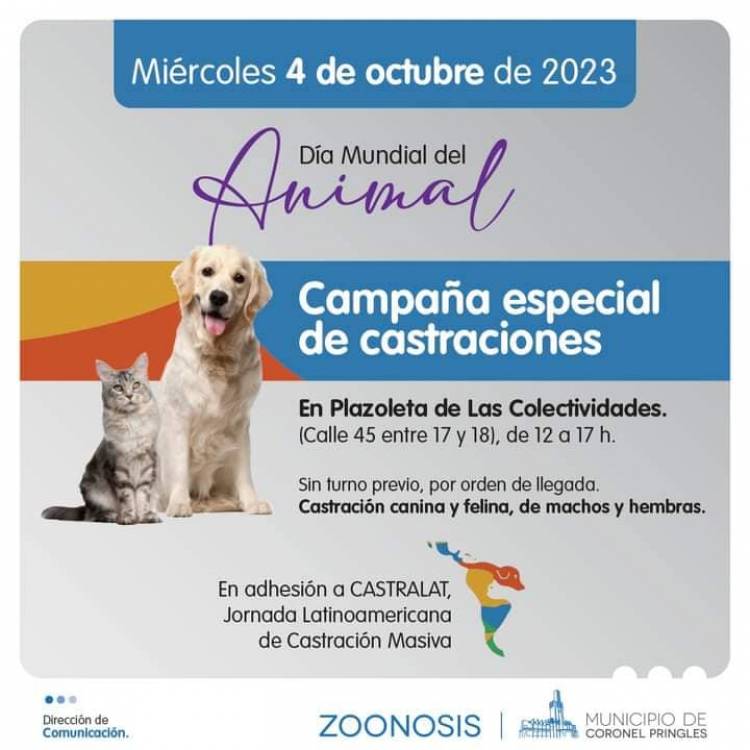Castración Masiva en la Plaza de las Colectividades