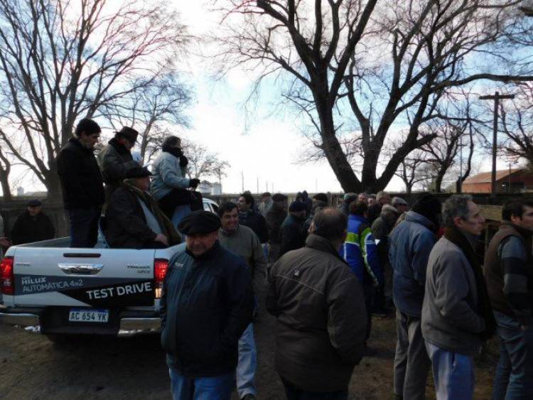 Remate de 700 vacunos en Pringles