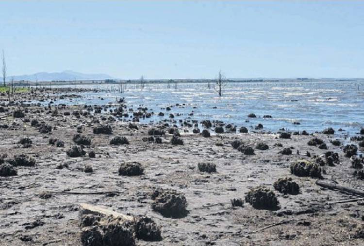 Preocupación por la grave sequía: En octubre, el Dique Paso de las Piedras tenía 399 hectáreas menos que en el 2020