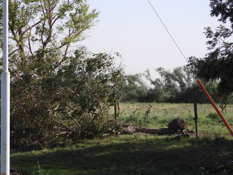 Piden la limpieza del cauce del Arroyo Pillahuincó