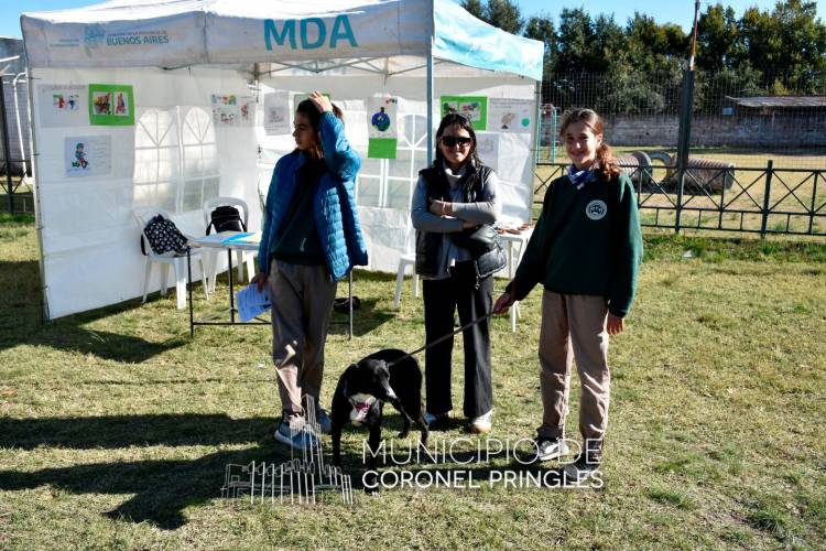 Día del Amimal con múltiples actividades en el CAPS Maggi