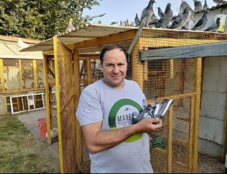 Carlos Padelli presidirá la Asociación Colombófila local.