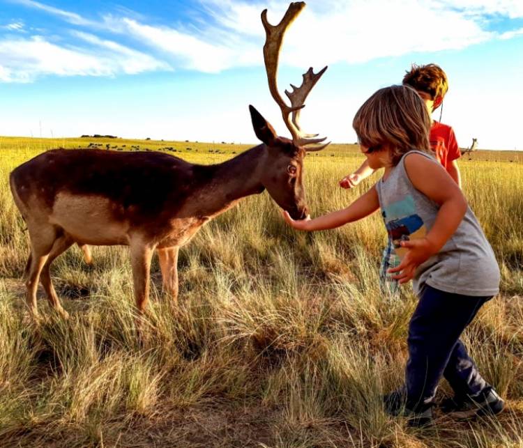 "Quienes nos visitan se sorprenden con el lugar y lo llaman la pequeña África"