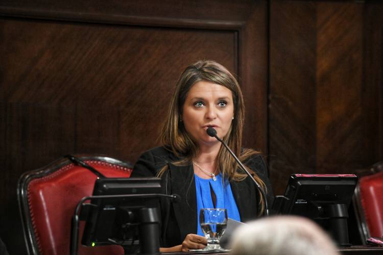 Por Ley buscan crear la figura del Defensor del Docente en provincia de Buenos Aires