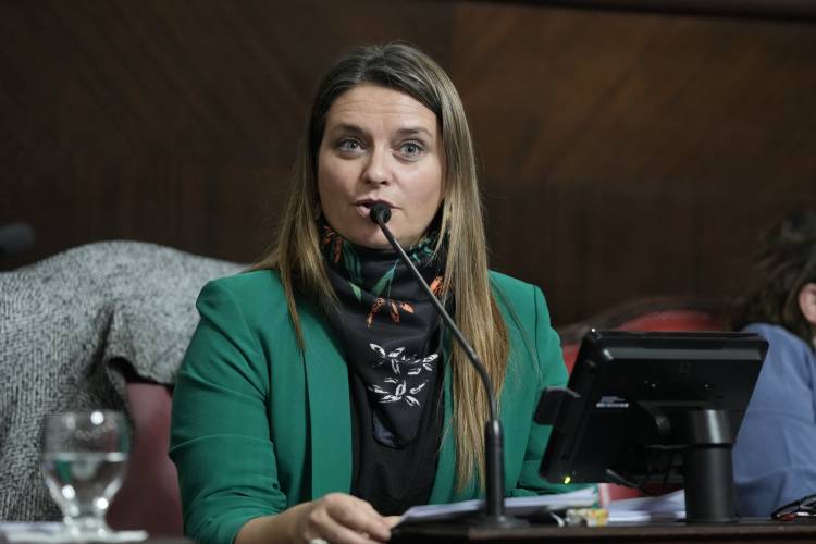 La senadora Neumann Losada propuso que sean los municipios quienes establezcan los horarios para la venta de bebidas alcohólicas en la provincia de Buenos Aires