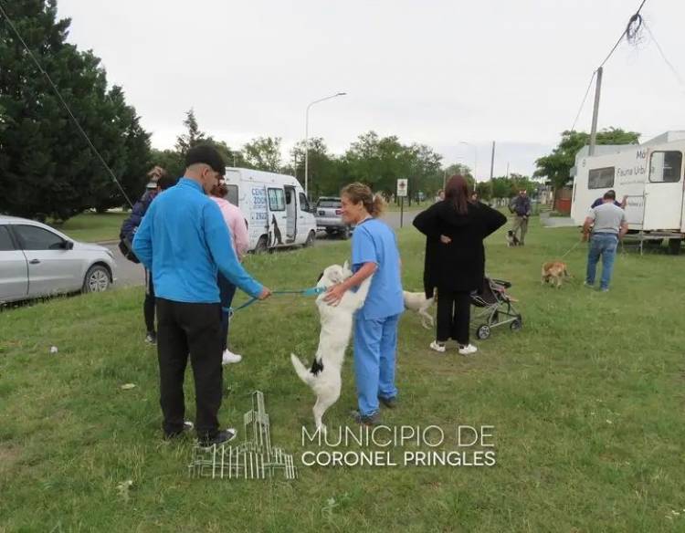 Castraciones y Vacunaciones