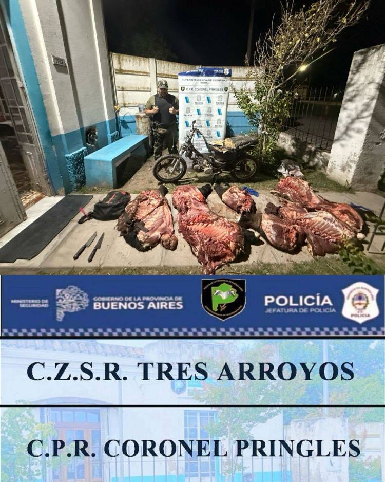 La Patrulla Rural local secuestra motocicleta sustraída en diciembre en nuestra localidad y dos vacunos depostados en zona rural