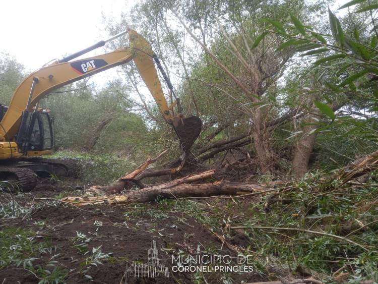 Limpieza del cauce del Arroyo Pillahuincó