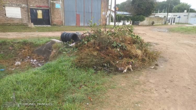 Residuos y desagües pluviales: La colaboración de los vecinos es indispensable