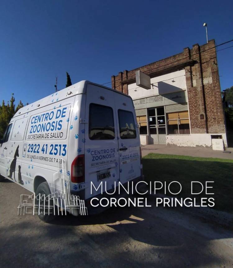 Castración y vacunación en Indio Rico