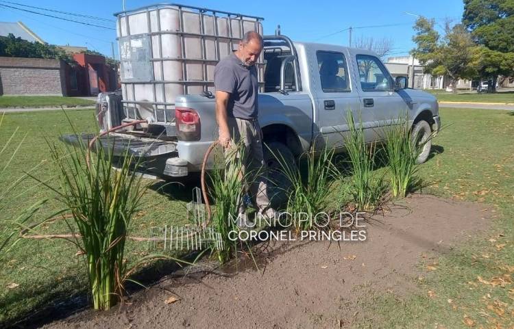 "Estamos realizando trabajos para embellecer el lugar"