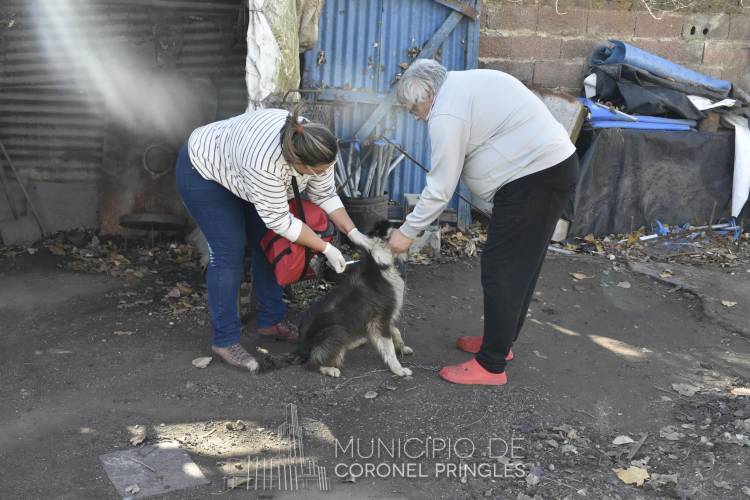 Vacunación en anillo en el Barrio Roca
