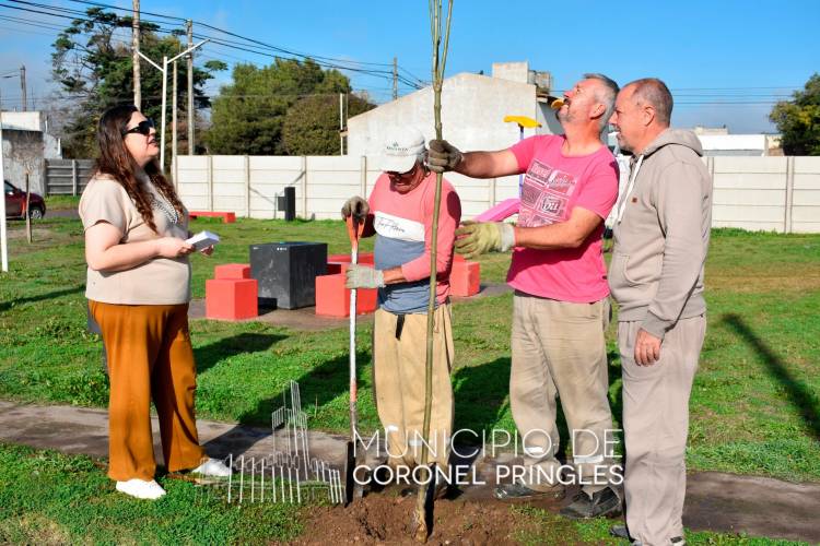 Programa de Arbolado Urbano