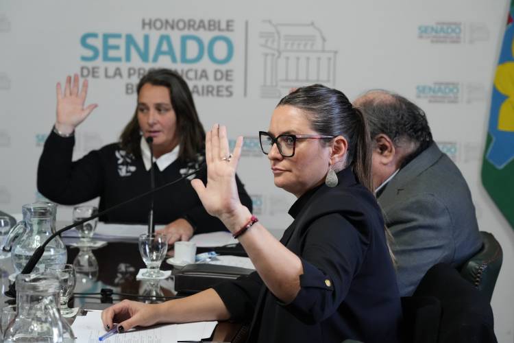 Desde el Senado bonaerense impulsan un proyecto clave para fortalecer el trabajo de los talleres protegidos en la Provincia