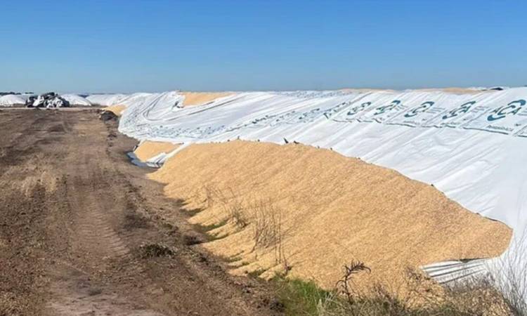 Vandalismo rural: dañaron cinco silobolsas en un predio sobre la Ruta 51