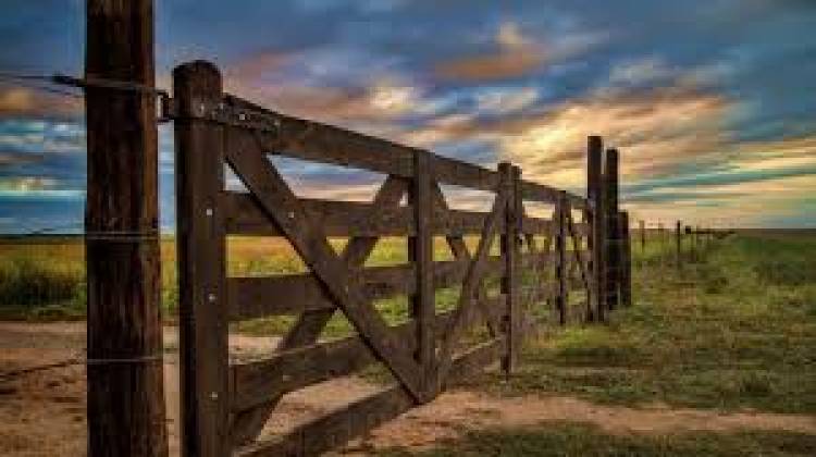 HCD: Solicitan la creación del Programa Municipal de Desarrollo Productivo Agropecuario Local