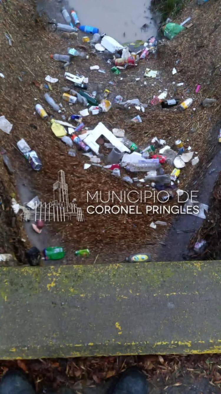 No llueven botellas