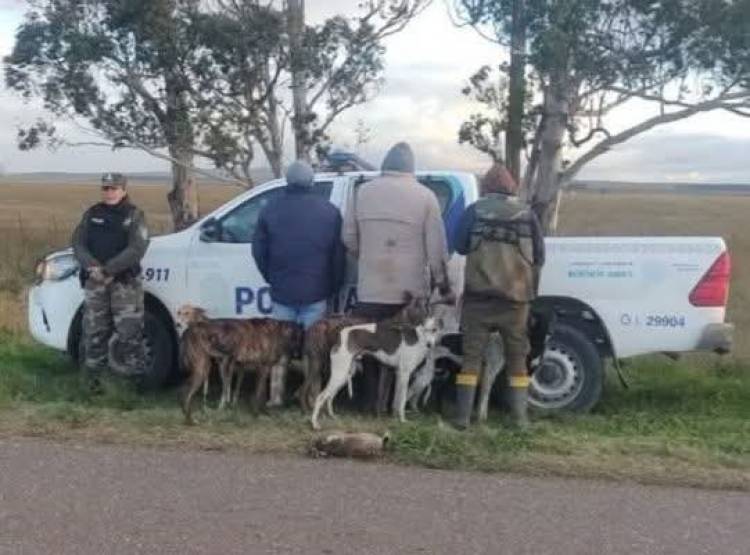 Stegmann: cazaban con galgos y los interceptaron