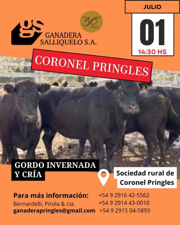 Nuevo remate de Ganadera Salliqueló en Pringles