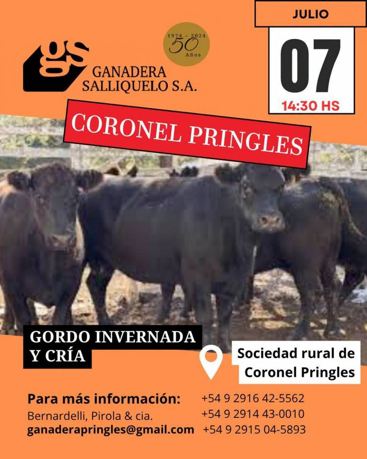 Remate de ganadera salliquelo reprogramado para el Martes 7 de Julio