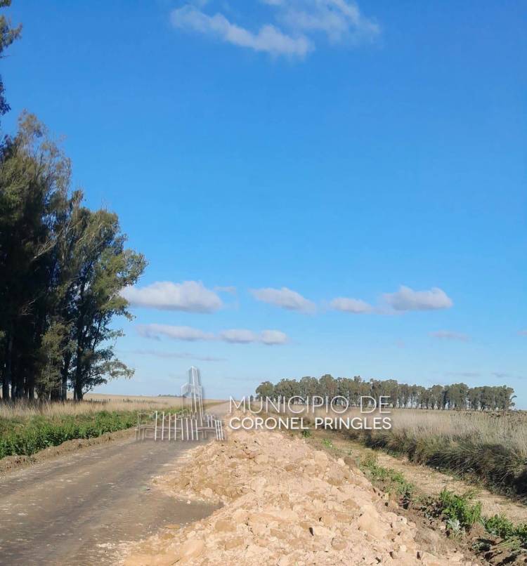 Mantenimiento y alteo de caminos