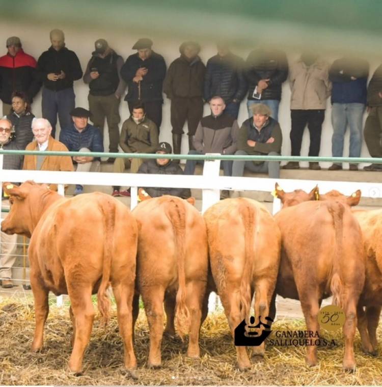 Remate con lotes destacados