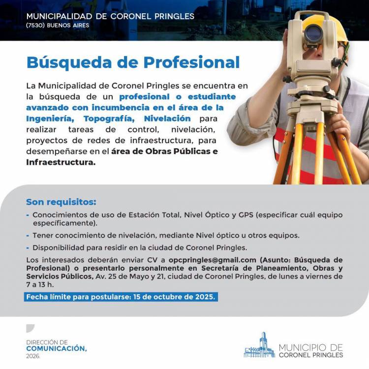 Búsqueda Profesional