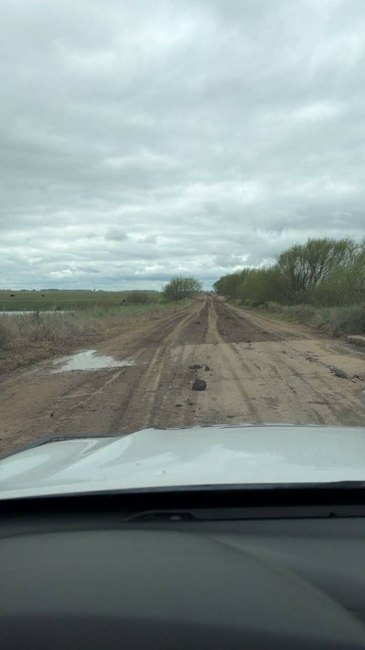 Coronel Pringles: Se labraron actas de infracción por daños en caminos rurales